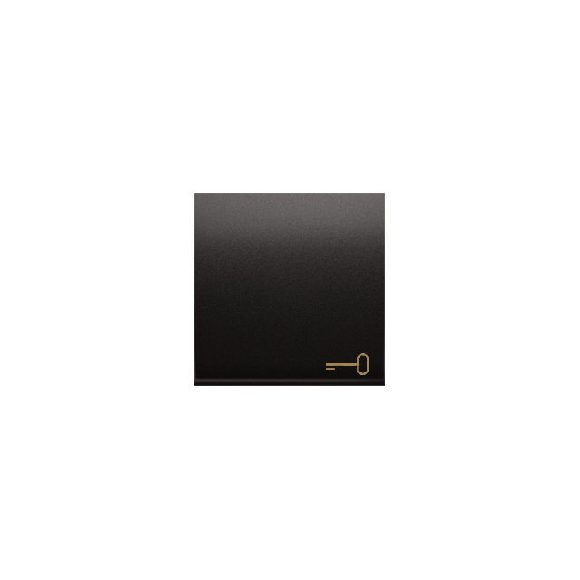 Simon 54 Klawisz pojedynczy z piktogramem klucza do łączników/przycisków antracyt