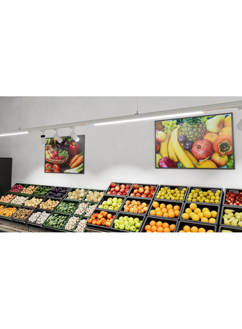 Oprawa TRUSYS FLEX P 50W 840 DS CL WT DALI