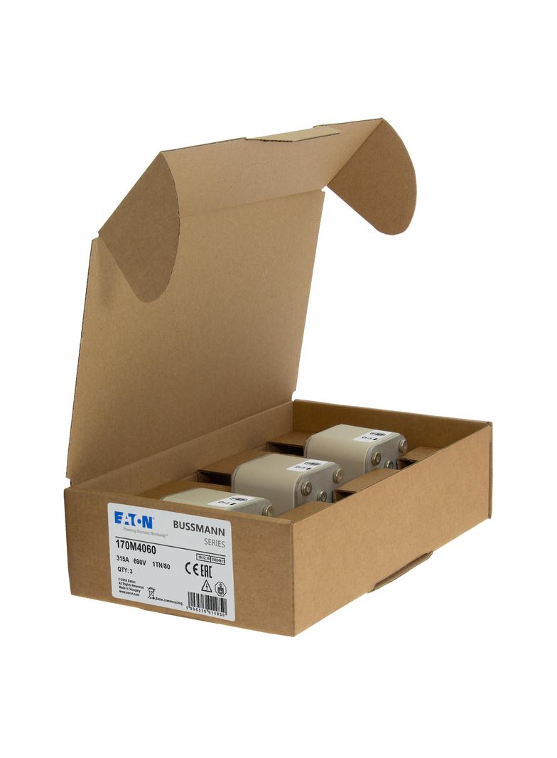 315A 690V 1TN/80 aR INDICATOR FUSE Wkładka szybka 315A AC 690V DIN 1 53x66x108 mm aR DIN 170M4060 EA