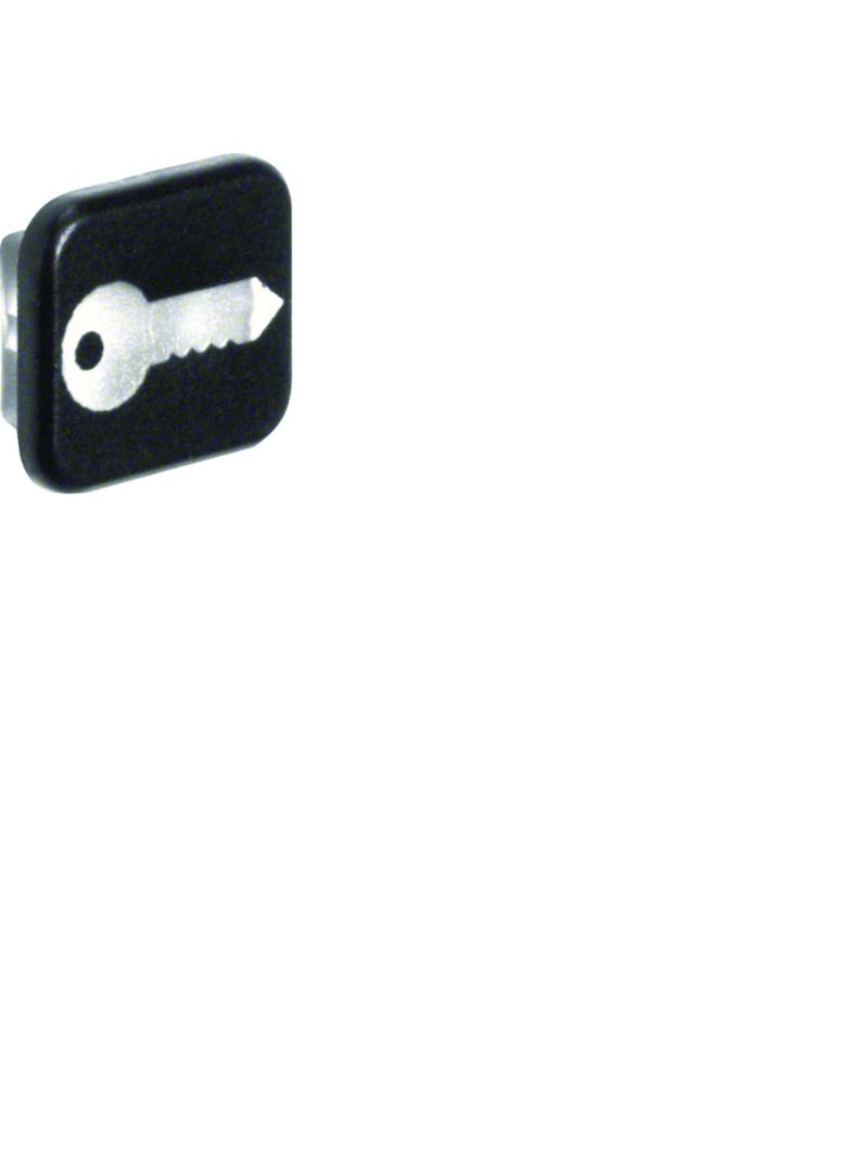 BERKER W.1 Soczewka z nadrukiem symbolu "klucz" (10szt.) 18223503 HAGER