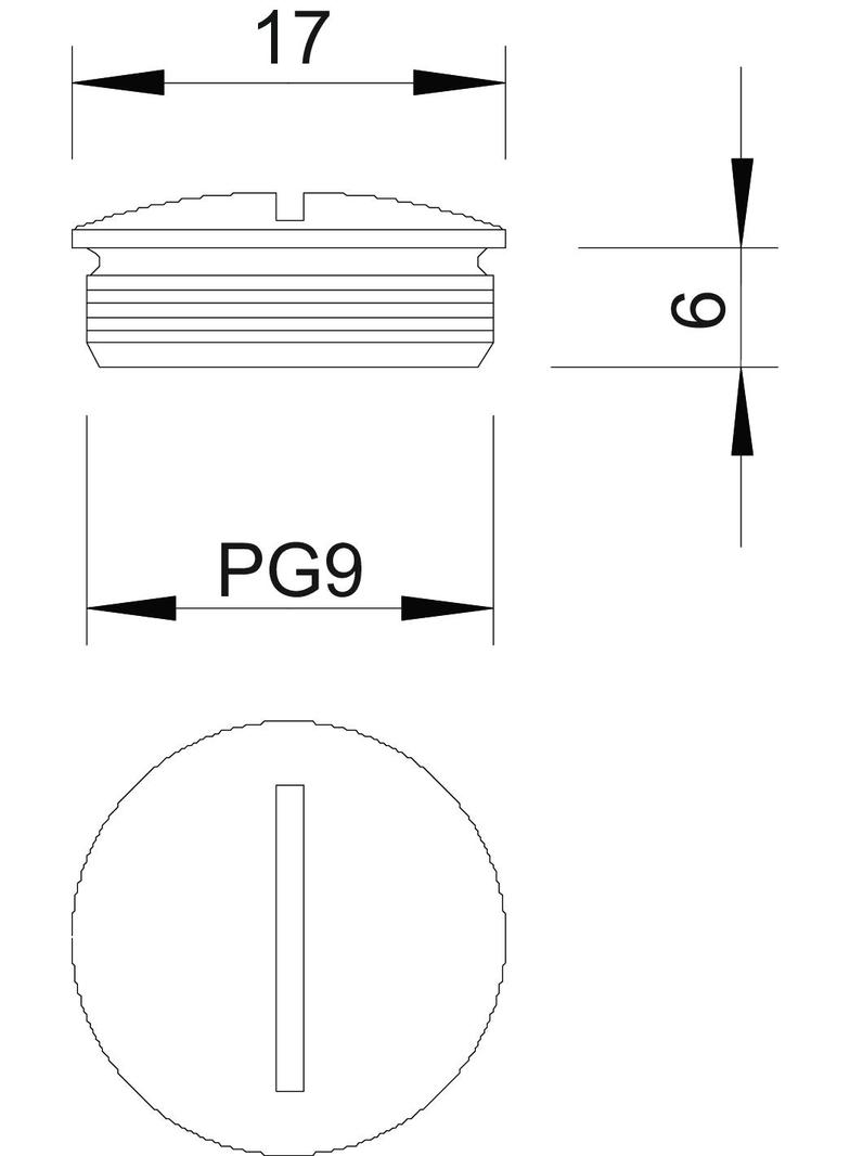 168/MS, ZAŚLEPKA GWINTOW.PG9 MS/NIKL.