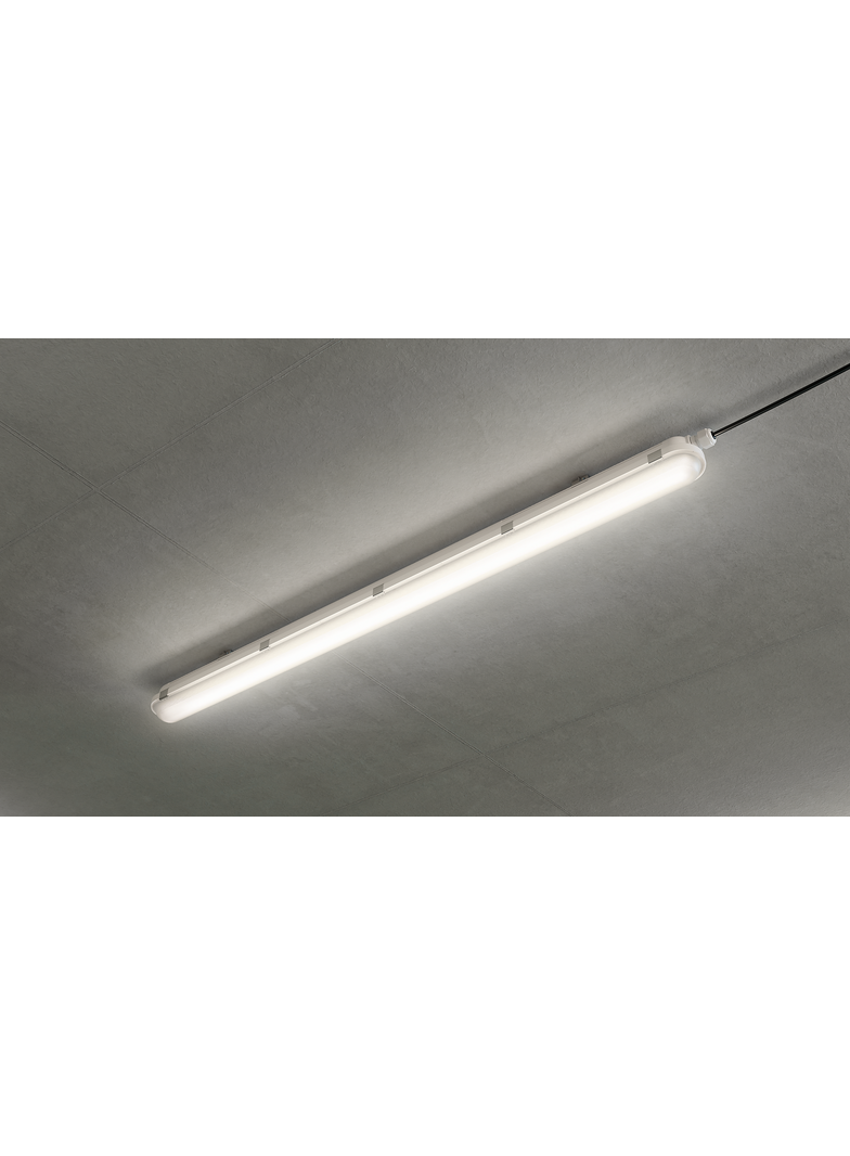 Oprawa hermetyczna Coreline WT120C G2 50W 8000lm IP65 4000K barwa neutralna LED80S/ 840 PSU 120cm 5 9,11402E+11 PHILIPS