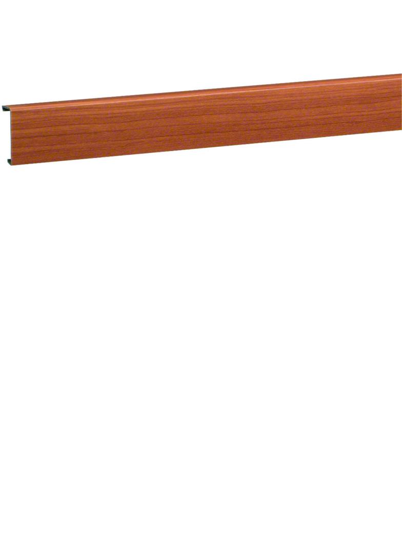 tehalit.SL Pokrywa 20x55 wiśnia SL200552D4 HAGER