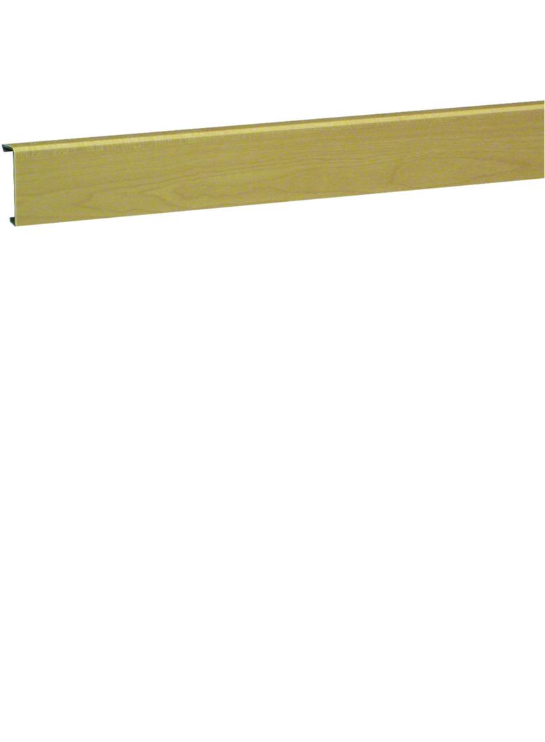 tehalit.SL Pokrywa 20x55 klon SL200552D3 HAGER