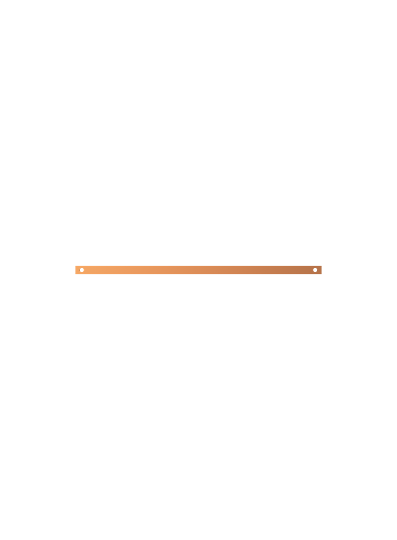 ZX1093 Szyna Cu 20x5mm 2F