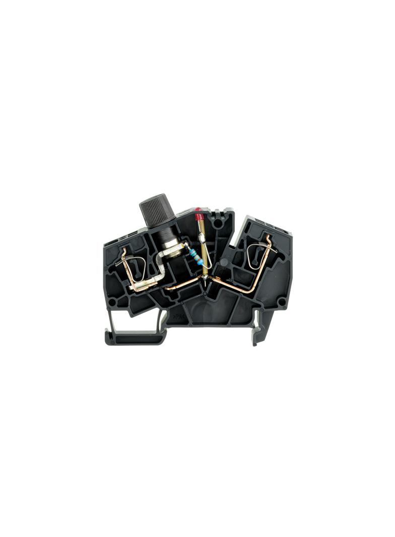 ZSI 2.5-2/2X2AN/G20/LD4 Złączka szynowa z bezpiecznikiem /20szt./ WEIDMULLER