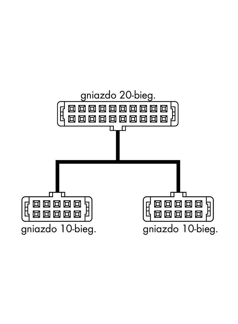 przewód taśmowy 20-bieg./2x10-bieg. 1m
