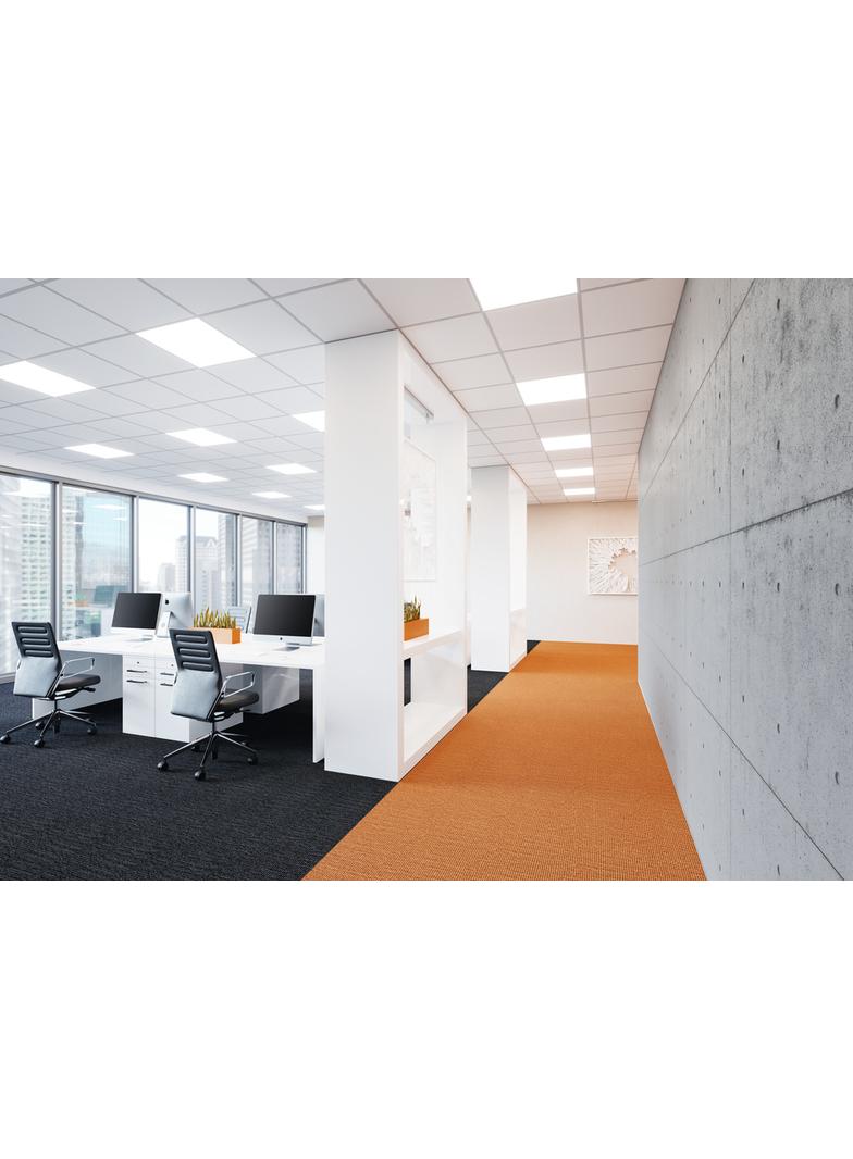 Osłona do opraw ściennych w kształcie pierścienia SURFACE BULKHEAD RING 250 WT