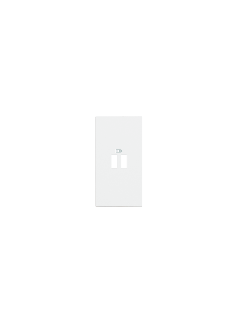 Living Now - Plakietka Ładowarki Usb - 2 Moduły - Biel Bticino KW12C LEGRAND