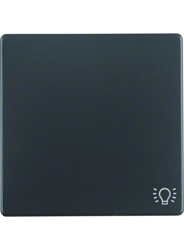 BERKER Q.x Klawisz z nadrukowany symbol światło do łącznika 1-klawiszowego antracyt aksamit 16206046