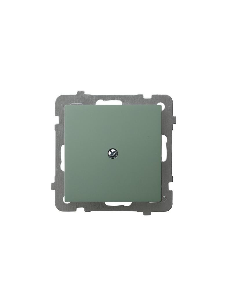 AS Zaślepka - kolor zielony mat Z-1G/m/84 OSPEL