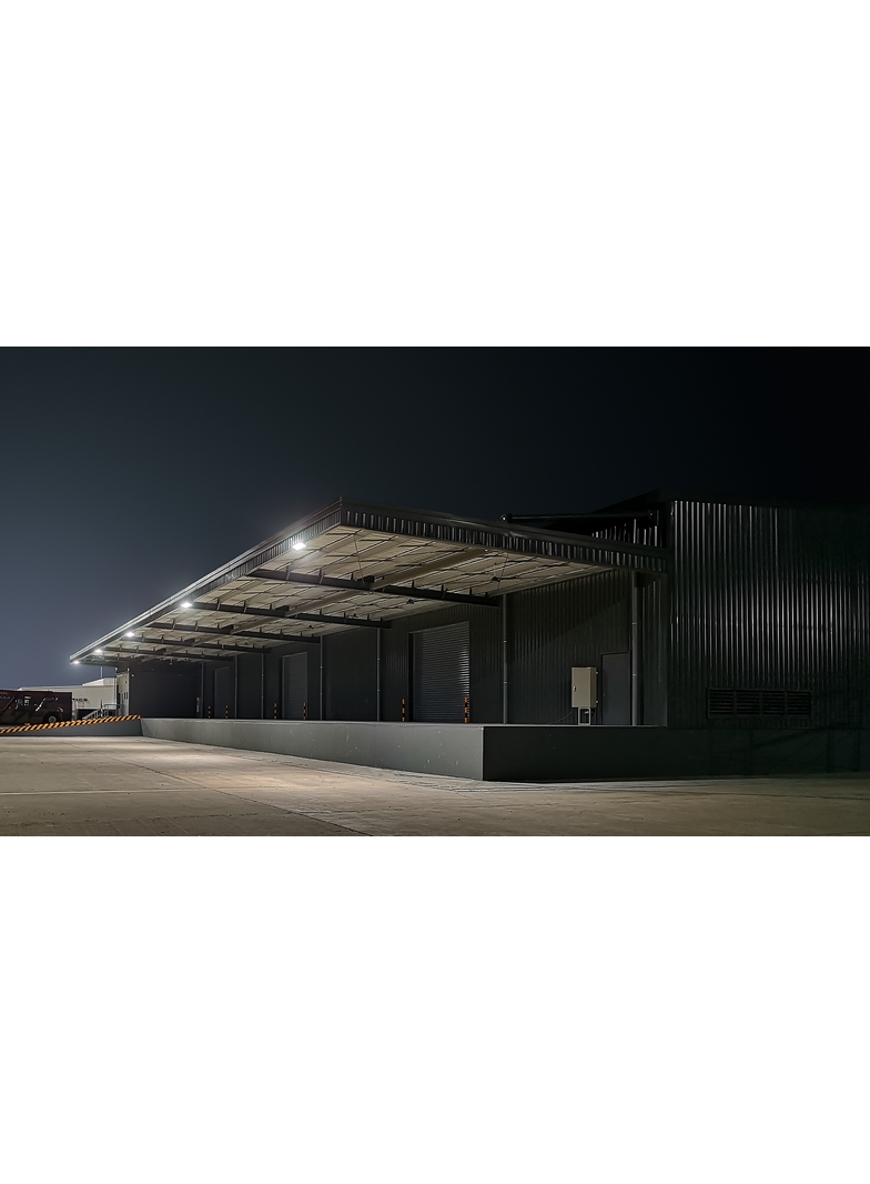 PILA BVP008 10W 4000K Naświetlacz