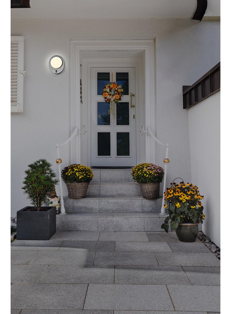 ENDURA STYLE DISC WALL SEN ST