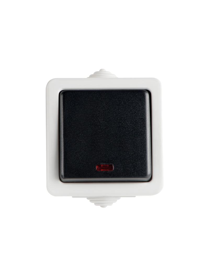 TEKNO Łącznik jednobiegunowy z LED śrubowy 10AX 250V szary IP54 25353 KANLUX