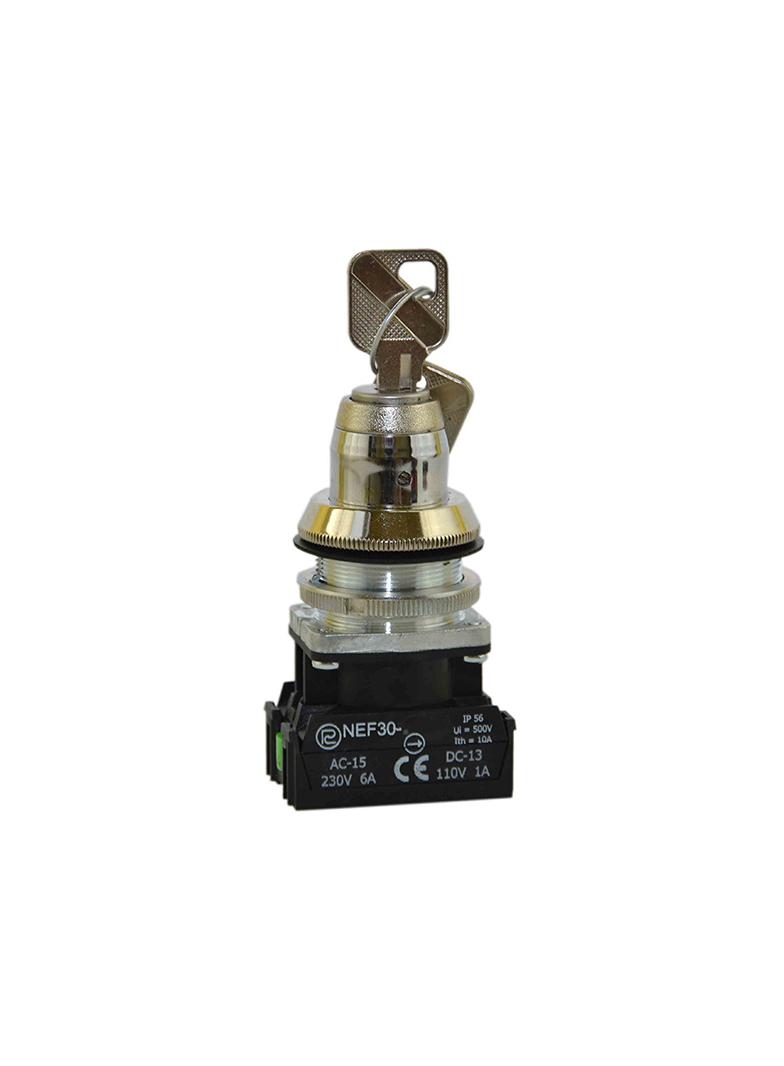 Przycisk NEF30-TZbM2X W0-NEF30-TZBM 2X PROMET