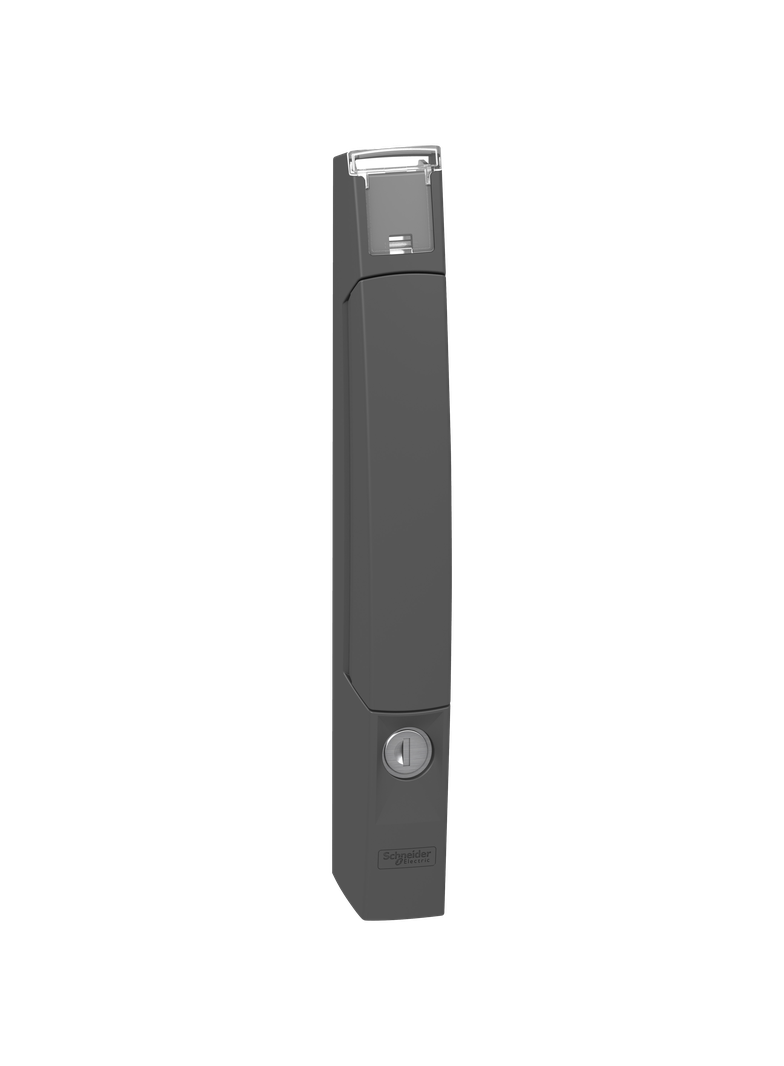 Klamka do obudów Spacial SM/SF z wkładką z kluczem 3524E