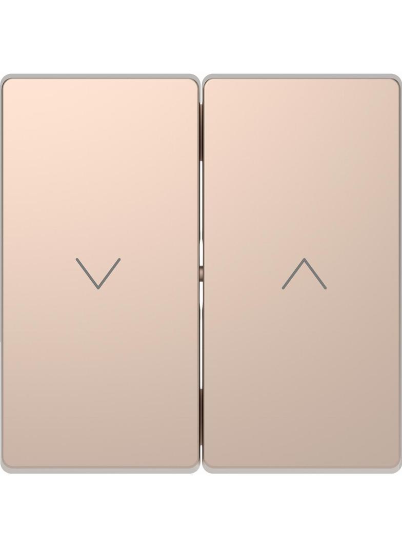 Klawisz podwójny żaluzjowy, szampan meta