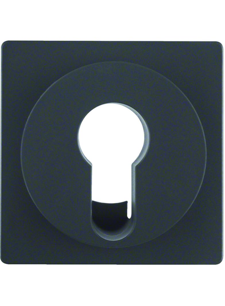 BERKER Q.x Płytka czołowa do łącznika na klucz antracyt aksamit lakierowana 15076086 HAGER