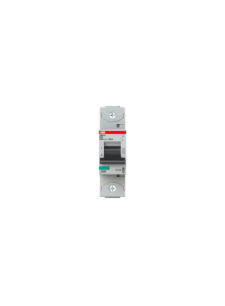 S801U-Z60 Wyłącznik nadprądowy 25kA 1P Z60A 2CCS881017R0605 ABB