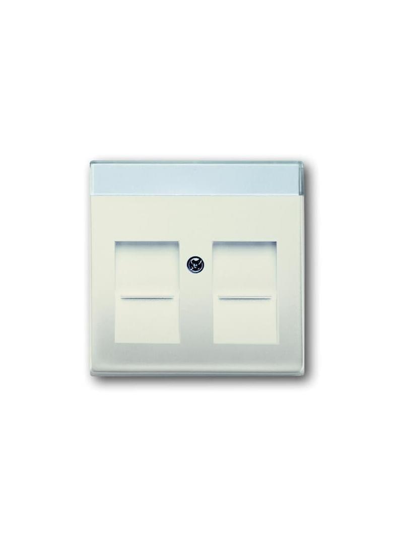 BASIC55 Pokrywa z polem opisowym Do 2 złączy Modular Jack z przysłonami kremowy