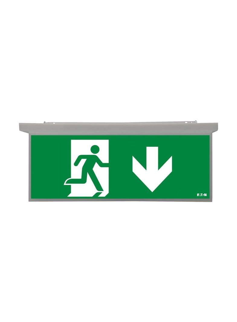 NexiTech LED szyba strzałka w dół / strzałka w dół 20m ISO7010 NEXI-PLEX-20-DD EATON