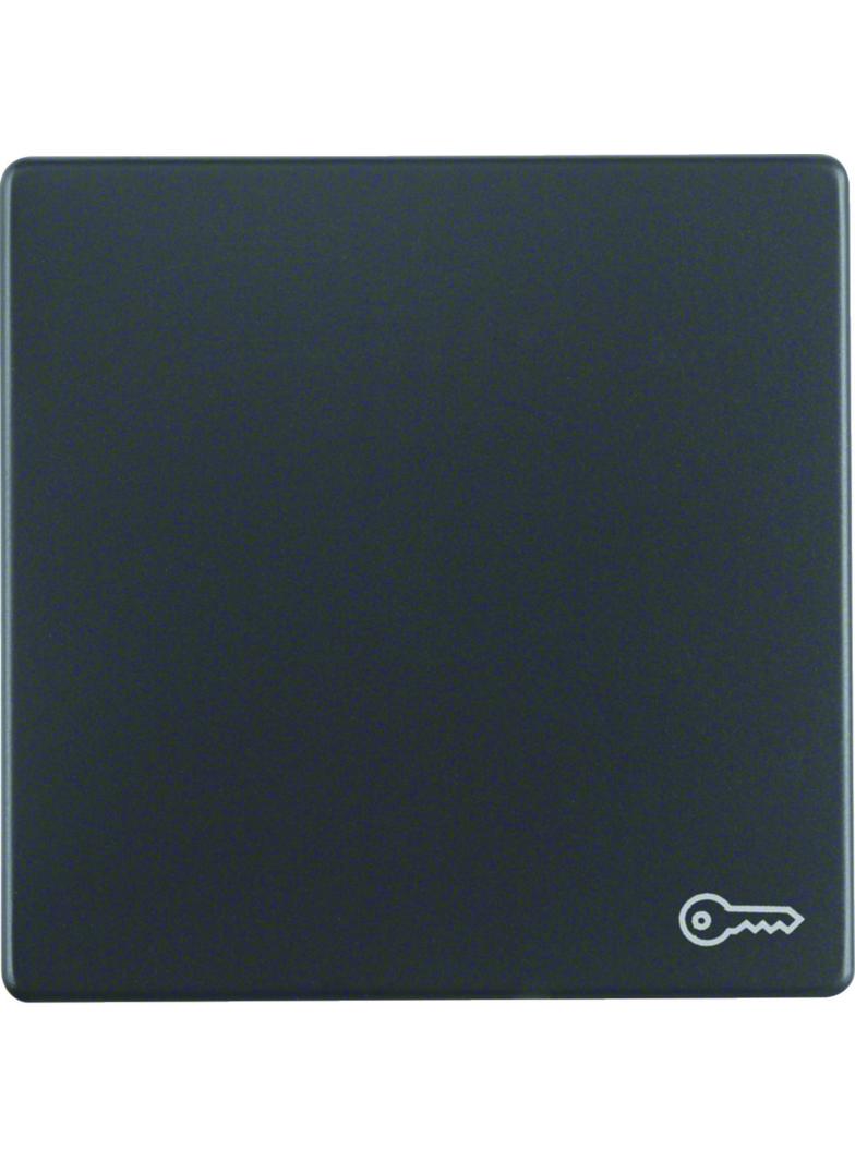 BERKER Q.x Klawisz z nadrukowany symbol klucz do łącznika 1-klawiszowego antracyt aksamit 16206066 H