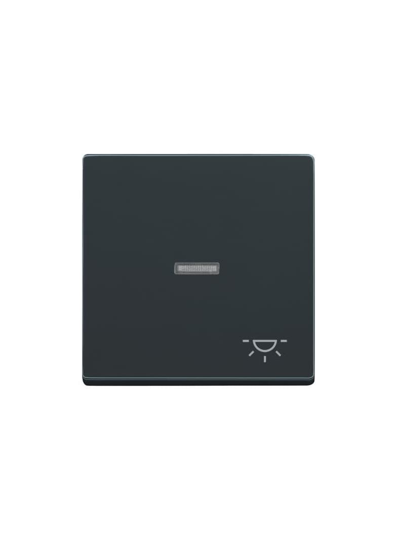 CARAT/FUTURE  Klawisz z symbolem „światło” Do przycisku zwiernego antracyt