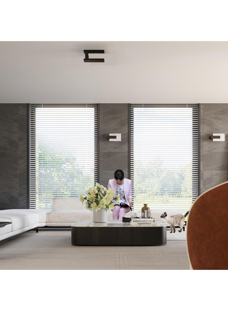Sollux Plafon LAPPO wenge SL.1097