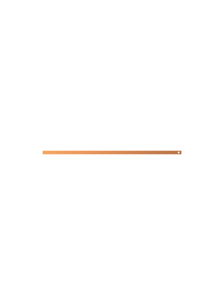 ZX2108 Szyna Cu 20x5mm, L:747mm (do samodzielnego montażu)