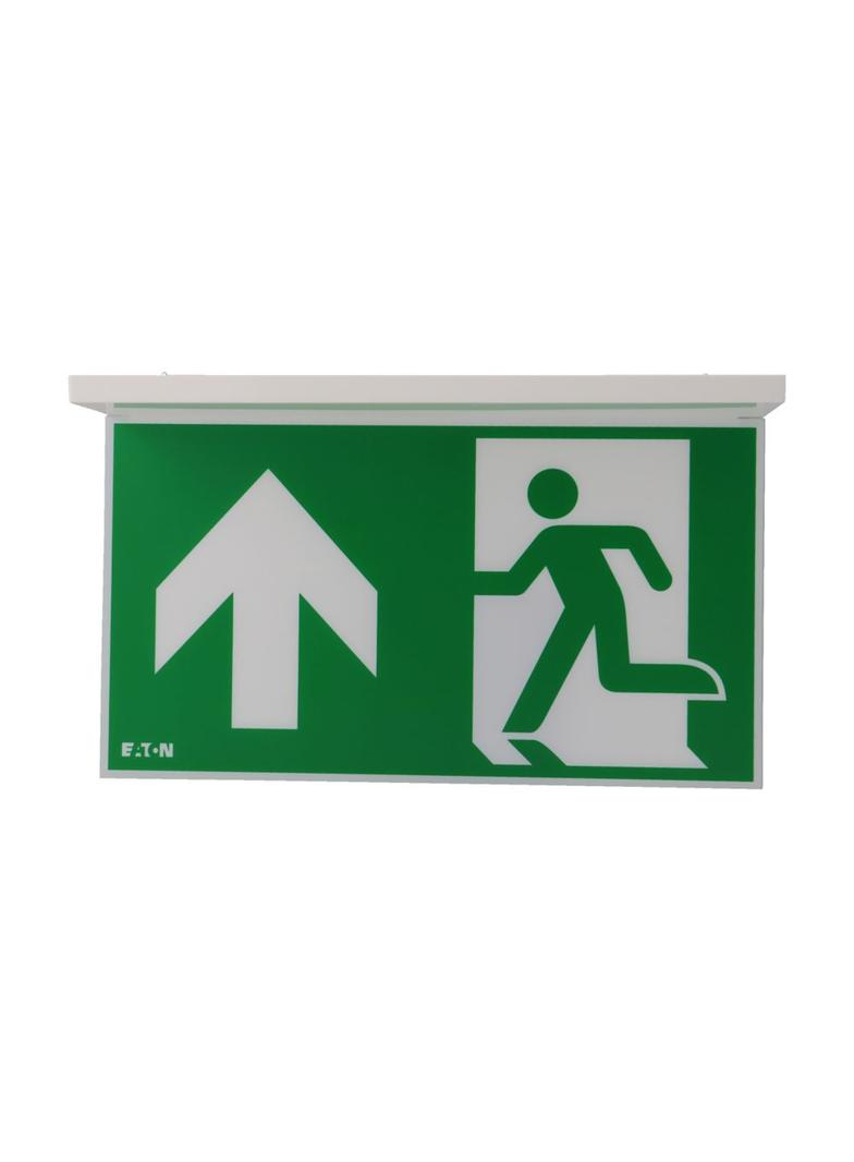 NexiTech LED szyba strzałka do góry / strzałka do góry 30m ISO7010 NEXI-PLEX-UU EATON