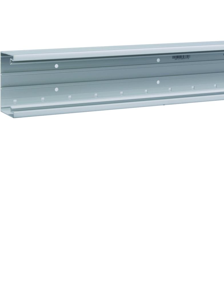 tehalit.BRP Kanał PVC podstawa 65x100 jasnoszary BRP6510017035 HAGER