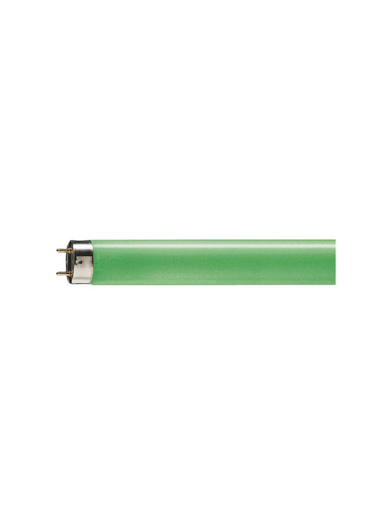 Źródło światła TL-D Colored 58W Green 1SL/25 9,28049E+11 PHILIPS