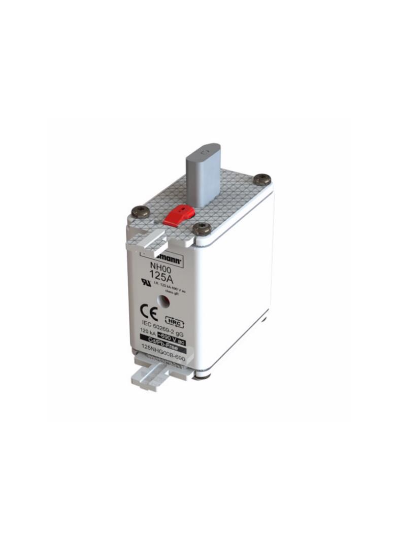 NH FUSE 125AMP 690V gG SIZE 00 Wkładka NH00 125A 690V GL/GG podwójny wskaźnik 125NHG00B-690 EATON