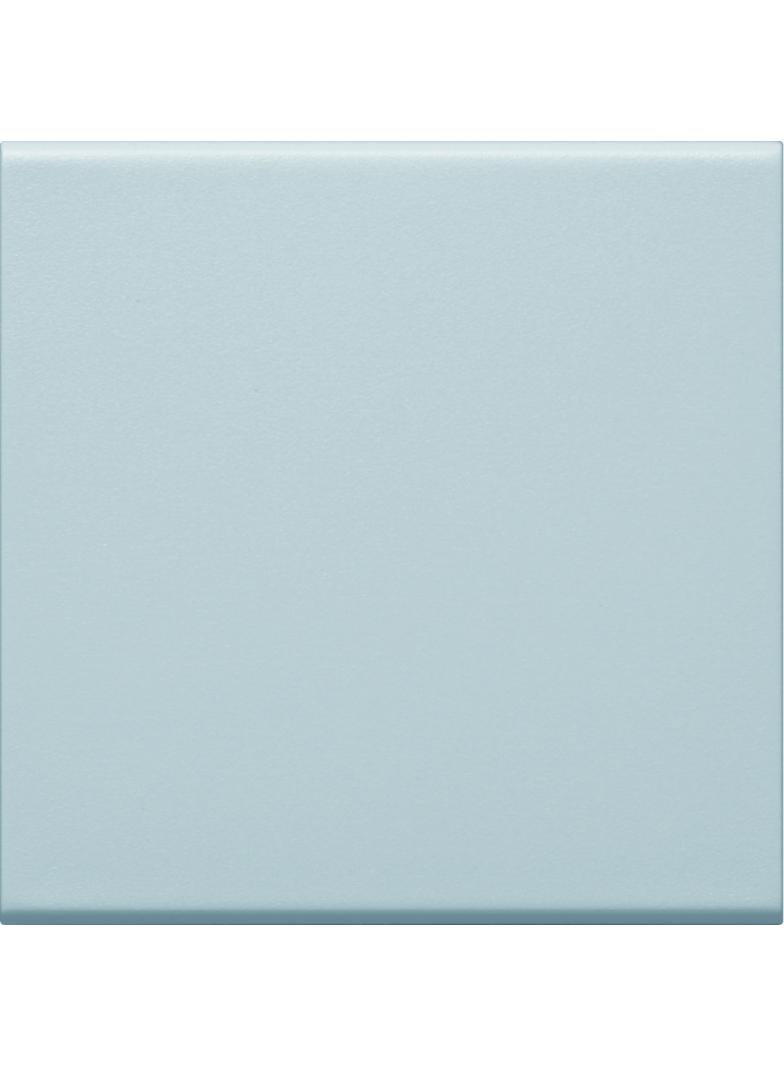 tehalit.WA Klawisz do łącznika 1-klawiszowego PC-ABS bezhalogenowy lakie alu