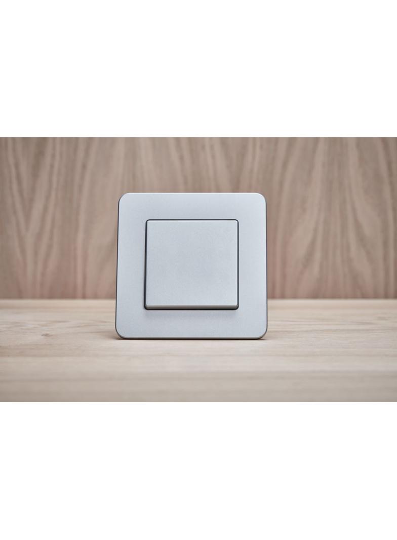 BERKER Q.x Klawisz do łącznika 1-klawiszowego aluminium aksamit lakierowana 16206084 HAGER