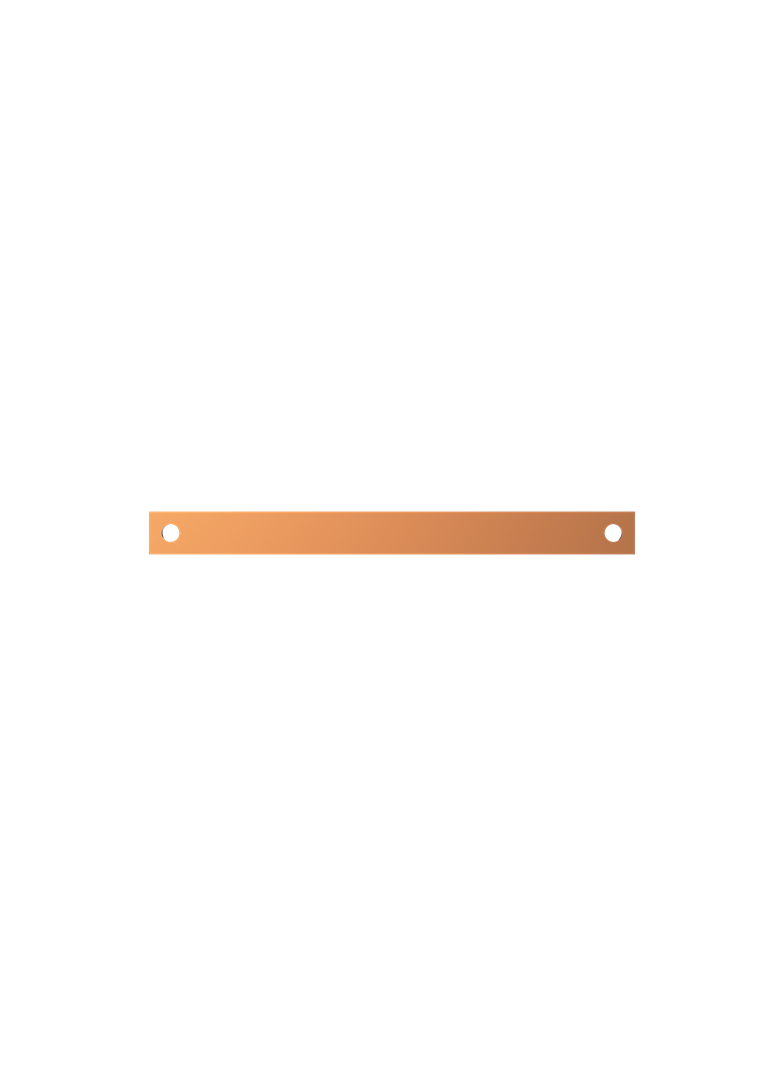 ZX1098 Szyna Cu 30x5mm 1F