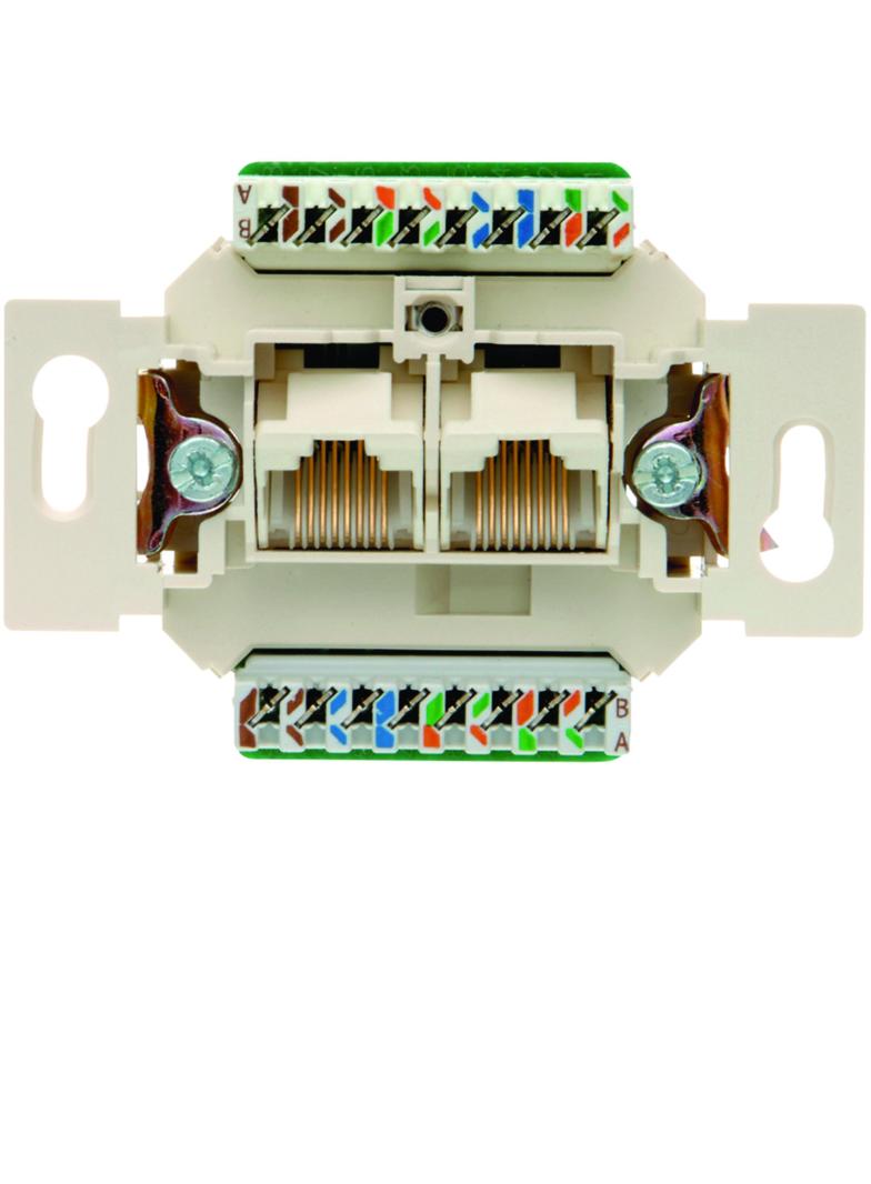 one.platform Gniazdo komputerowe UAE podwójna (RJ11 RJ12 RJ45) kat. 5e (mechanizm) Berker 534576 WDF41087 HAGER