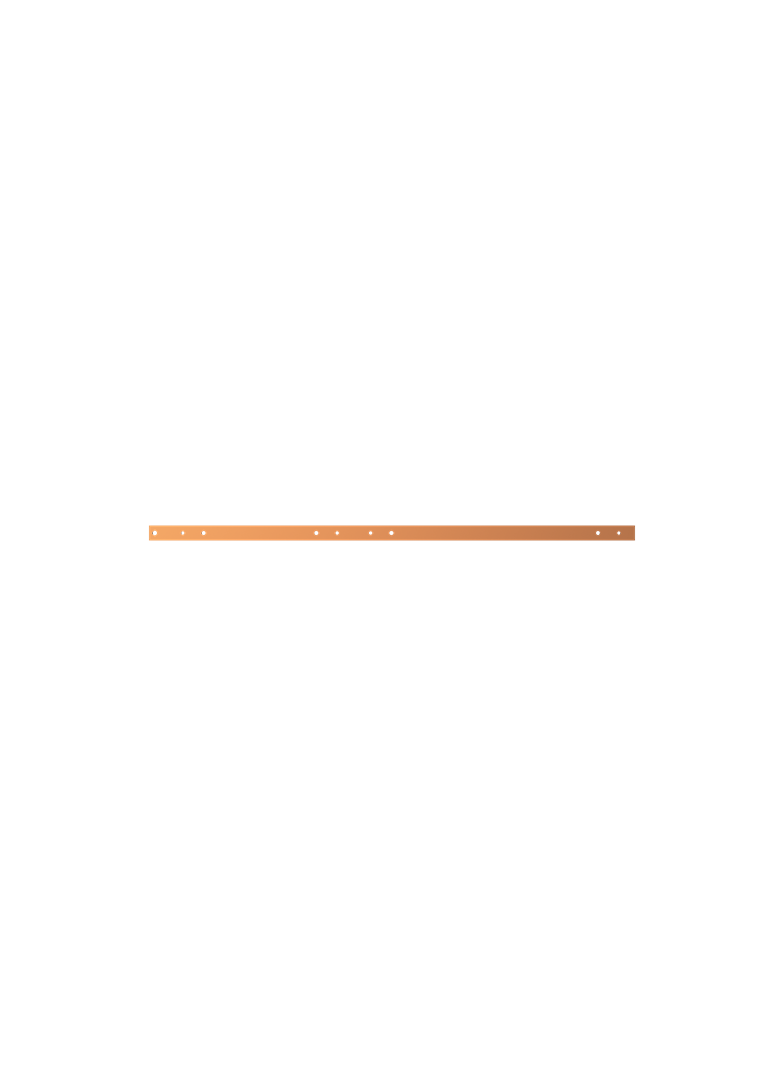 ZX1074 Szyna Cu 40x10mm 5F