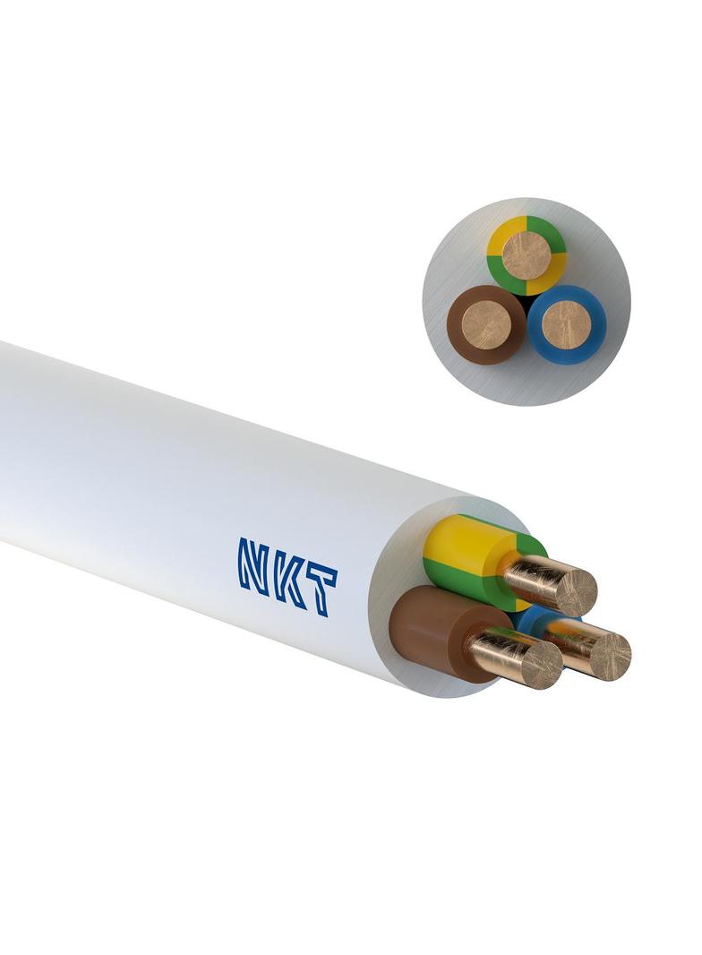 YDYżo 450/750 3x10 biały