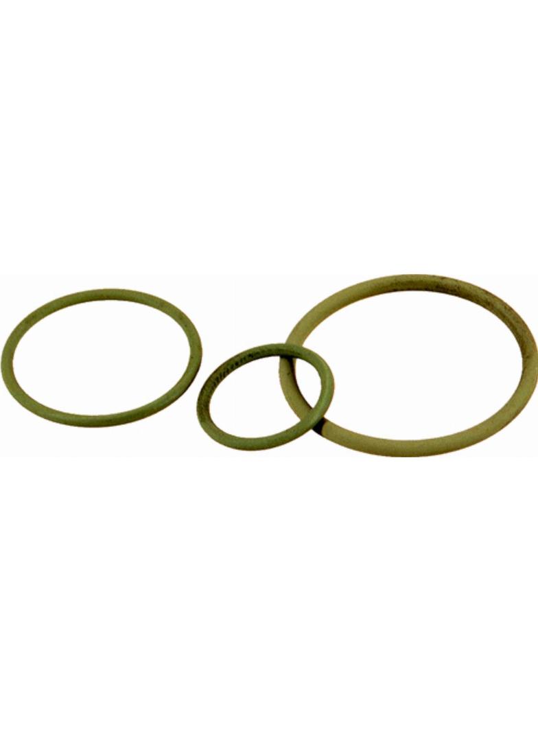 SKINDICHT_O-RING_VITON_M_20__17X2_009.94