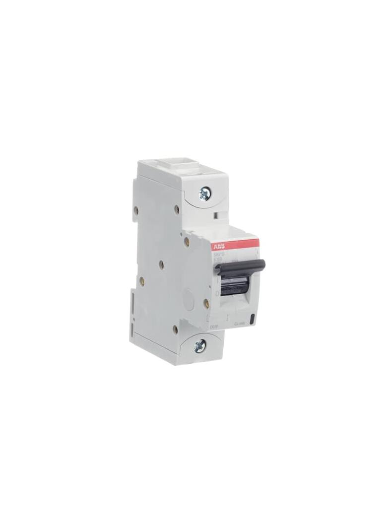 S801U-K100 Wyłącznik nadprądowy 25kA 1P K100A 2CCS881017R0637 ABB