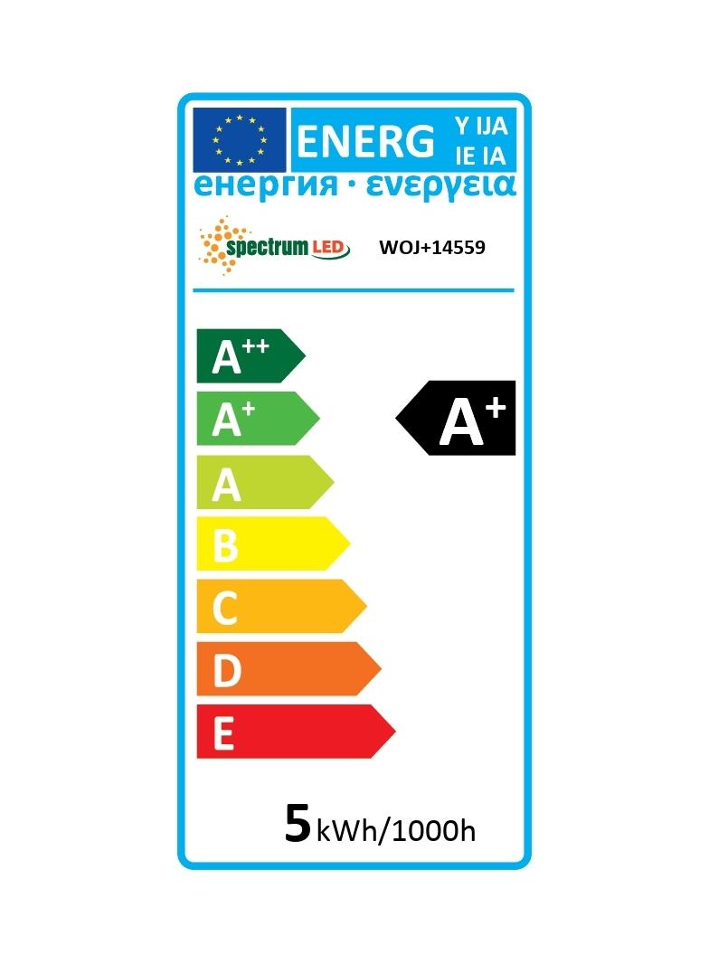 LED GLOB G125 4,9W E-27 COG 230V CCT (4000K-6500K)+DIMM MODERNSHINE Wi-Fi/BT Spectrum SMART