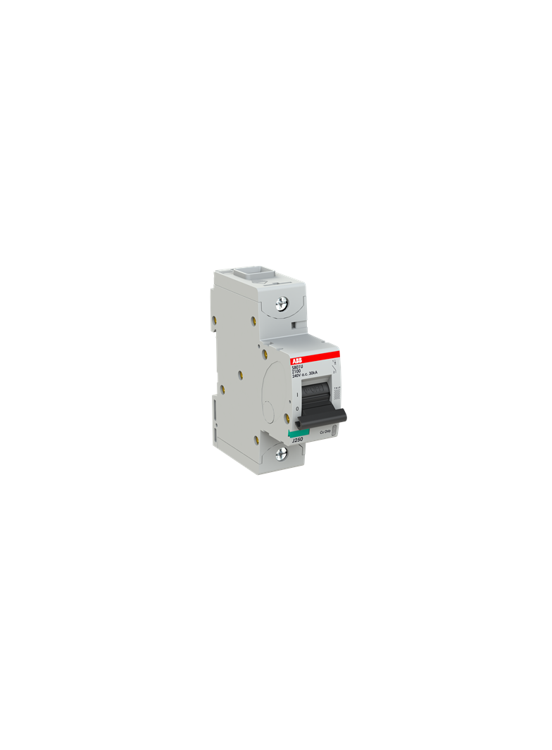 S801U-Z100 Wyłącznik nadprądowy 25kA 1P Z100A 2CCS881017R0825 ABB