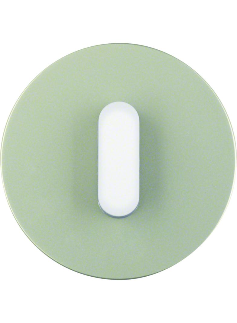 R.classic Płytka czołowa z pokrętłem do łącznika obr. stal szlachetna/biały