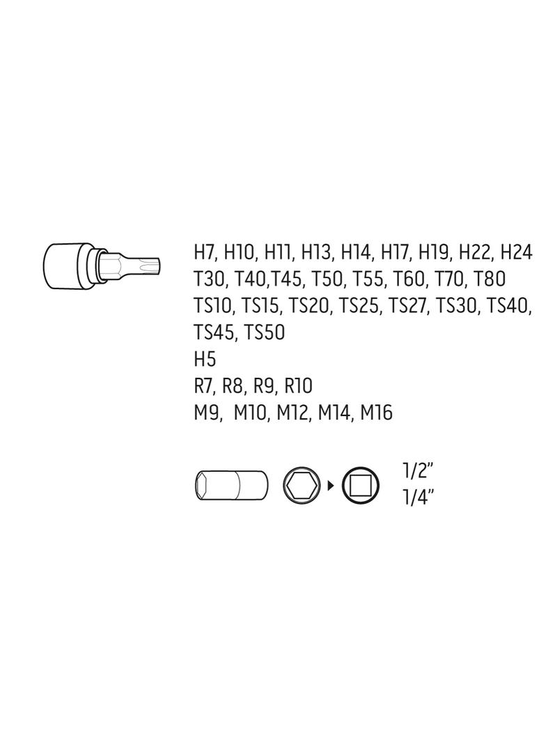 Bity Torx 1/2", zestaw 38 szt.