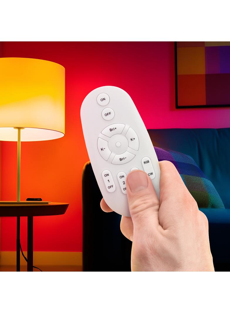 Pilot zdalnego sterowania RGB + CCT + DIM biały Easy Smart