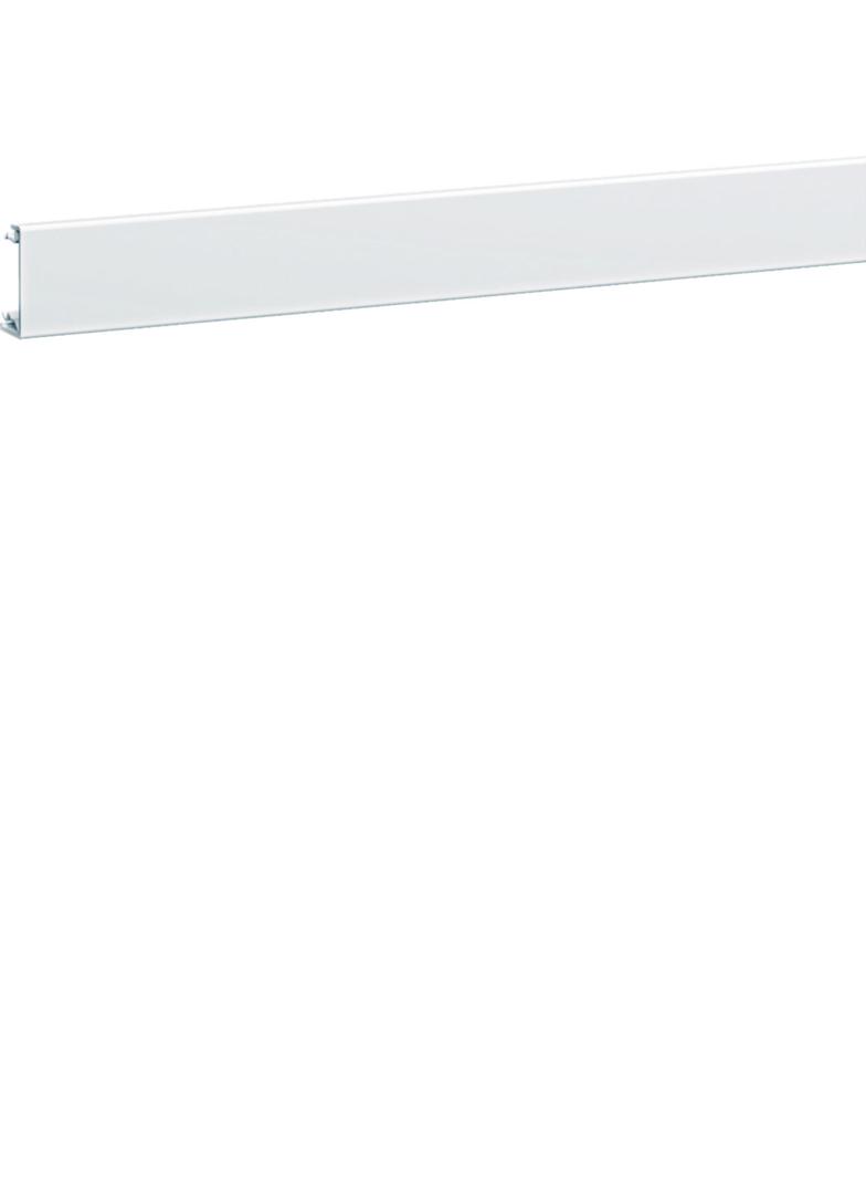 tehalit.BRN65/ BR65 Pokrywa boczna 65x170, biały BRN04529016 HAGER