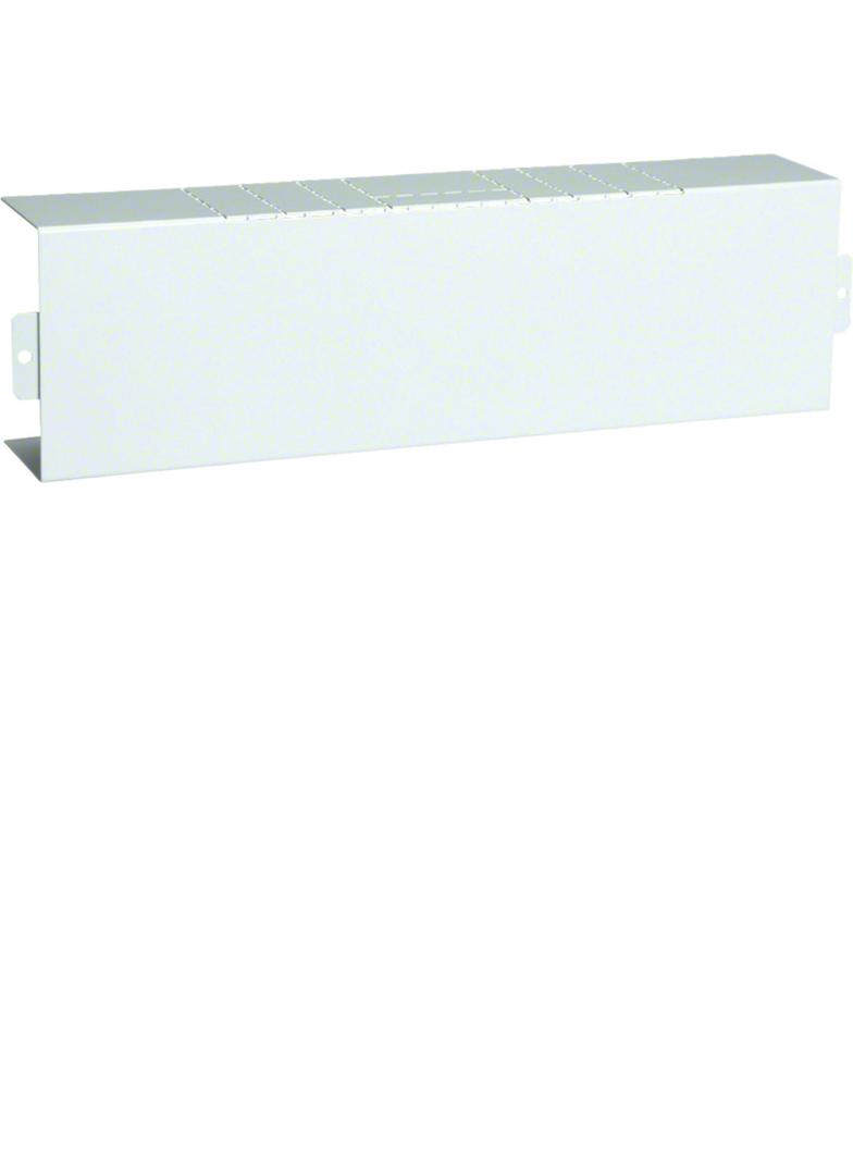 tehalit.LFS Element T, 60x100mm, biały LFS6010089016 HAGER