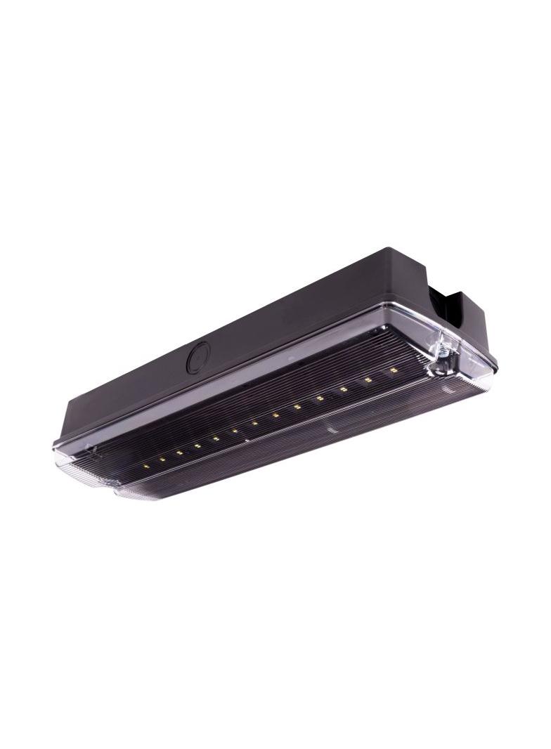 Oprawa ewakuacyjna/awaryjna Orion LED II 100 SA 3H CT LT IP65 [BLK] + (OR6, OR7, OR8) / WERSJA LT (U 89415 INTELIGHT