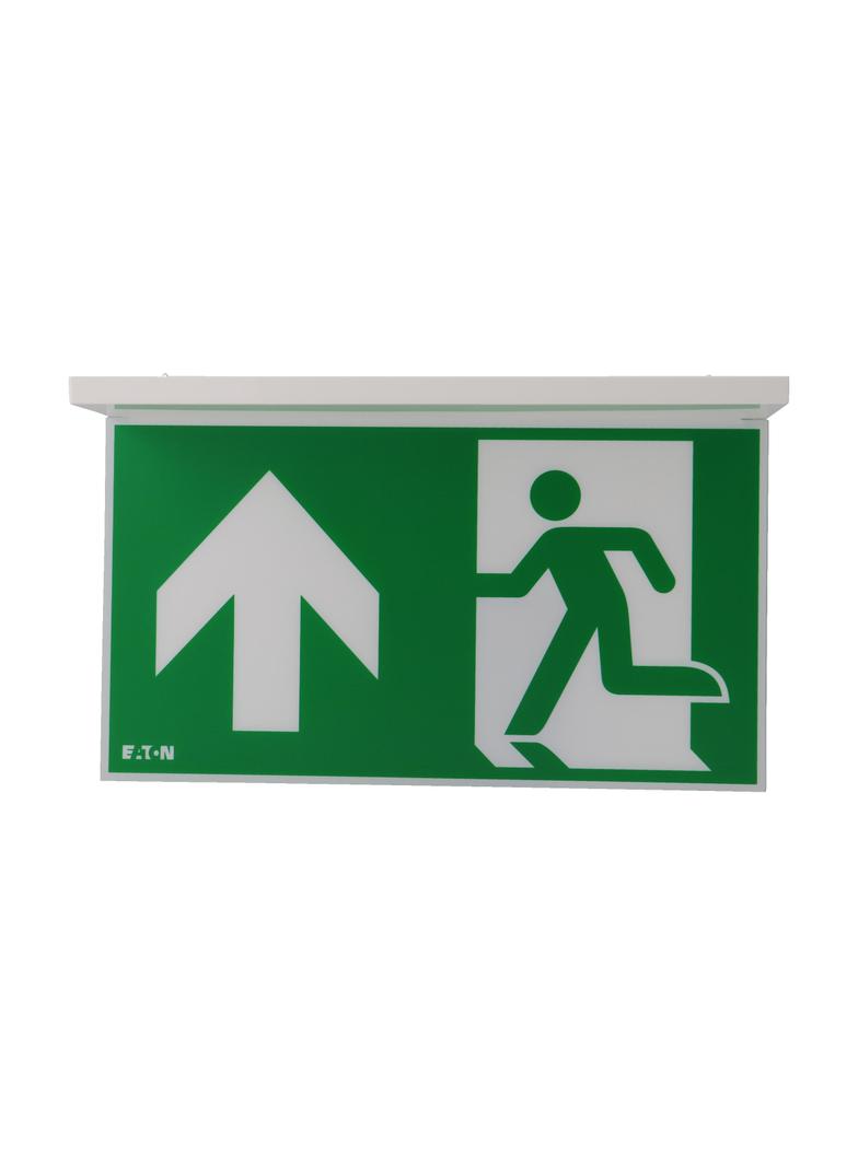 NexiTech LED szyba strzałka do góry / strzałka do góry 30m ISO7010 NEXI-PLEX-UU EATON